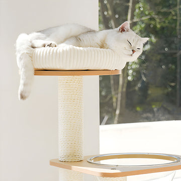 Best Cozy Beds and Cat Trees for Indoor Cats