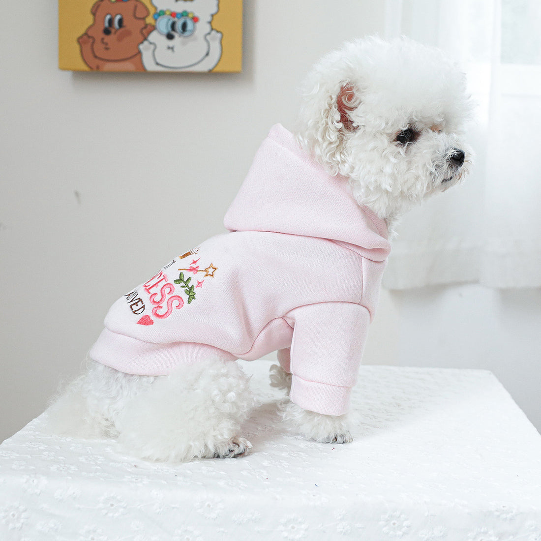 Pet Clothes Dog Cat Clothes Hooded Little Princess Sweater