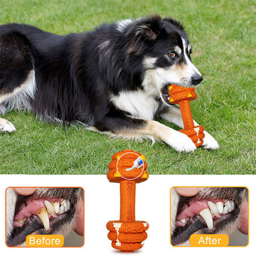 Durable Chew & Clean Dog Toy – Medium/Large
