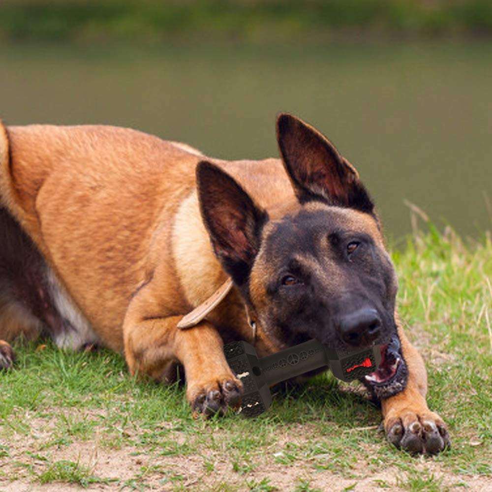 Durable Chew & Clean Dog Toy – Medium/Large