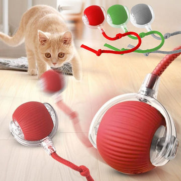 Smart Interactive Cat Ball Toy – Automatic Rolling Rechargeable Teaser Ball for Kittens