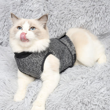 Popular Pet Clothes Cat Clothes Spring